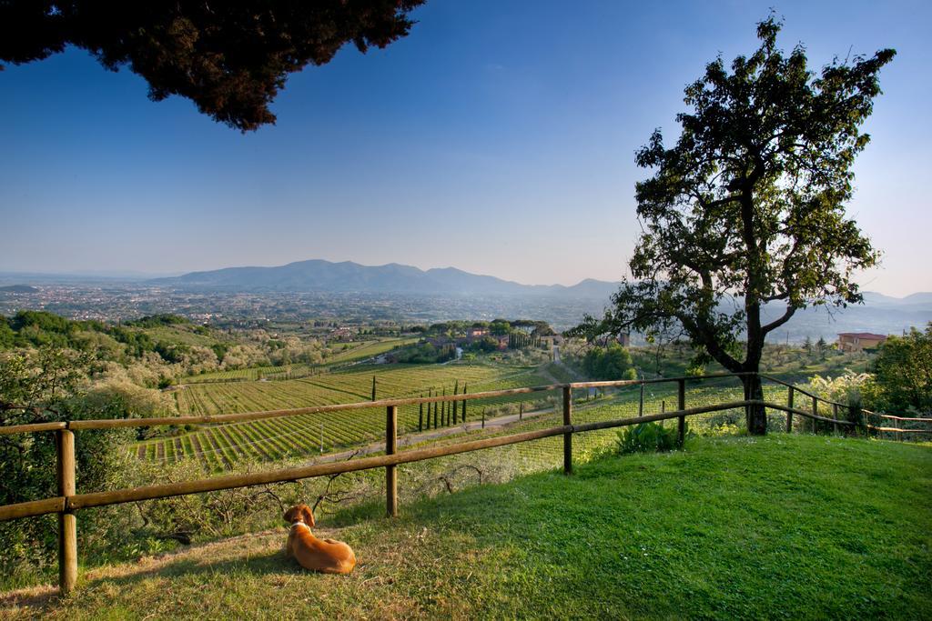 Villa Lean Valgiano Dış mekan fotoğraf